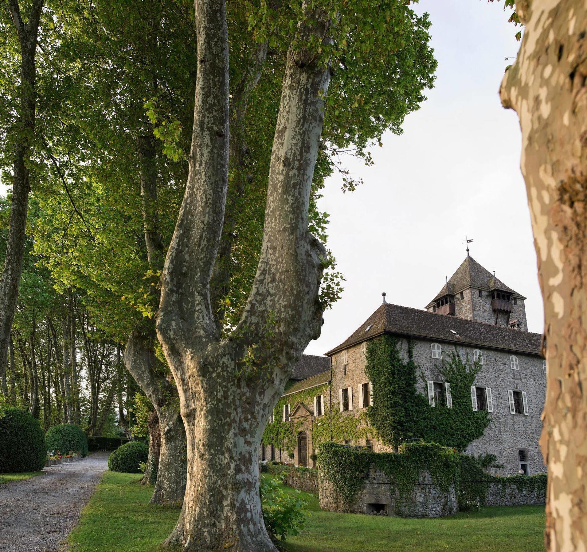 Chateau De Coudree - Les Collectionneurs Sciez Dış mekan fotoğraf